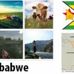 Zimbabwe Agriculture and Fishing Overview