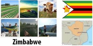 Zimbabwe Agriculture and Fishing